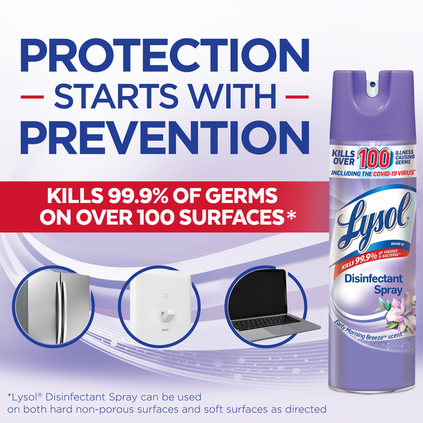 LYSOL® Disinfectant Spray - Early Morning Breeze