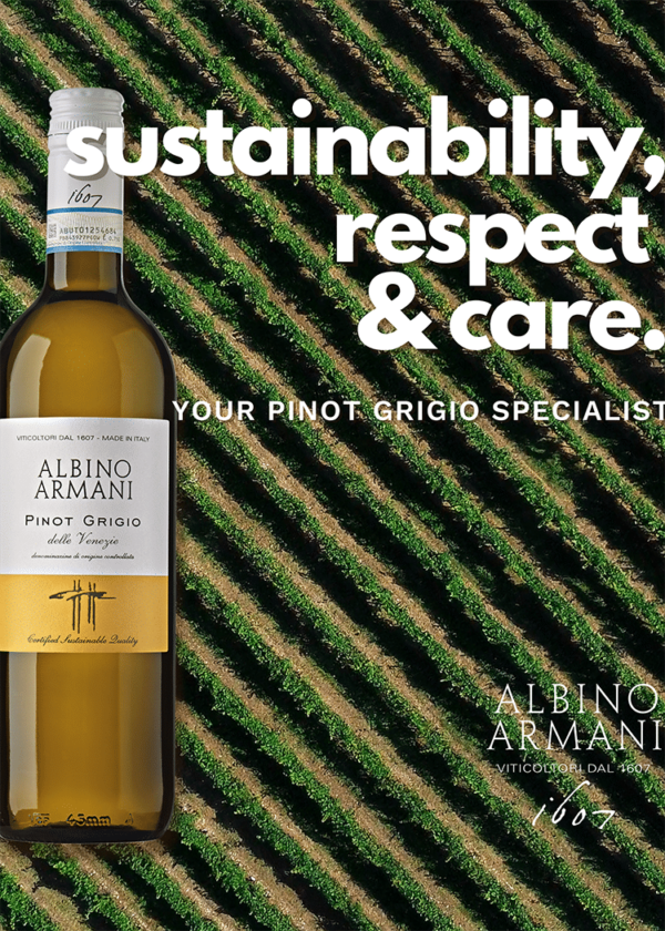 Armani Pinot Grigio Venezie - Image 2