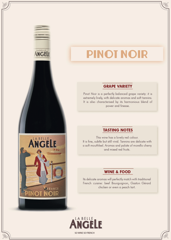 La Belle Angele Pinot Noir, 2021 - Image 3