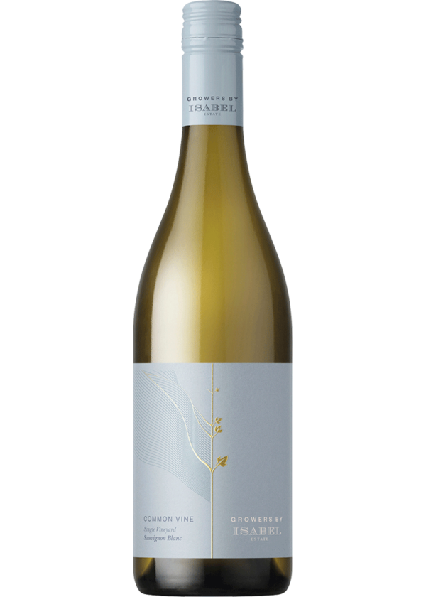 Common Vine Craiglochart Vineyard Waihopai Valley Sauvignon Blanc, 2022