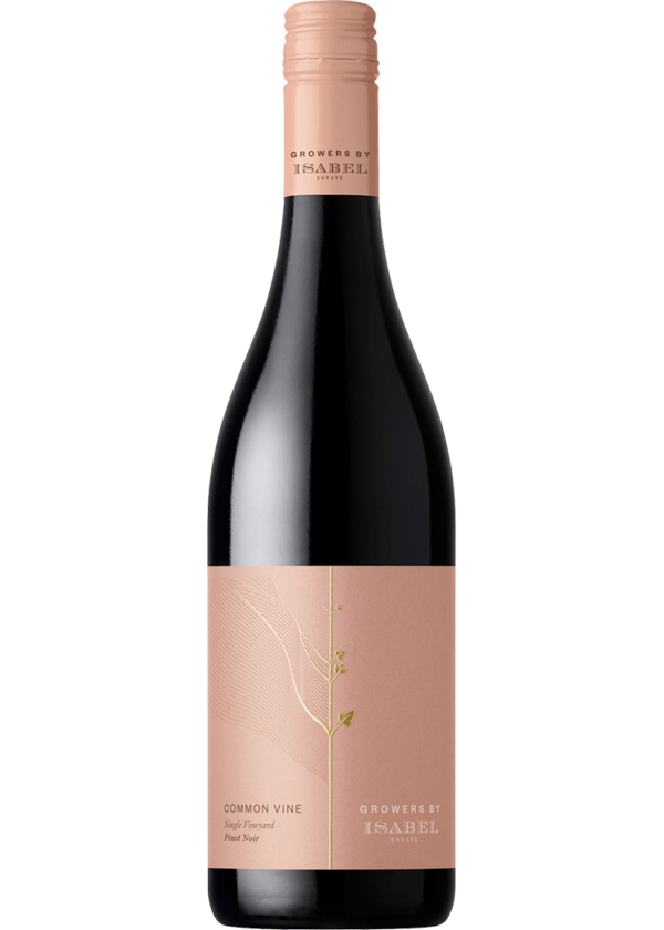 Common Vine Raupo Vineyard Omaka Valley Pinot Noir, 2022