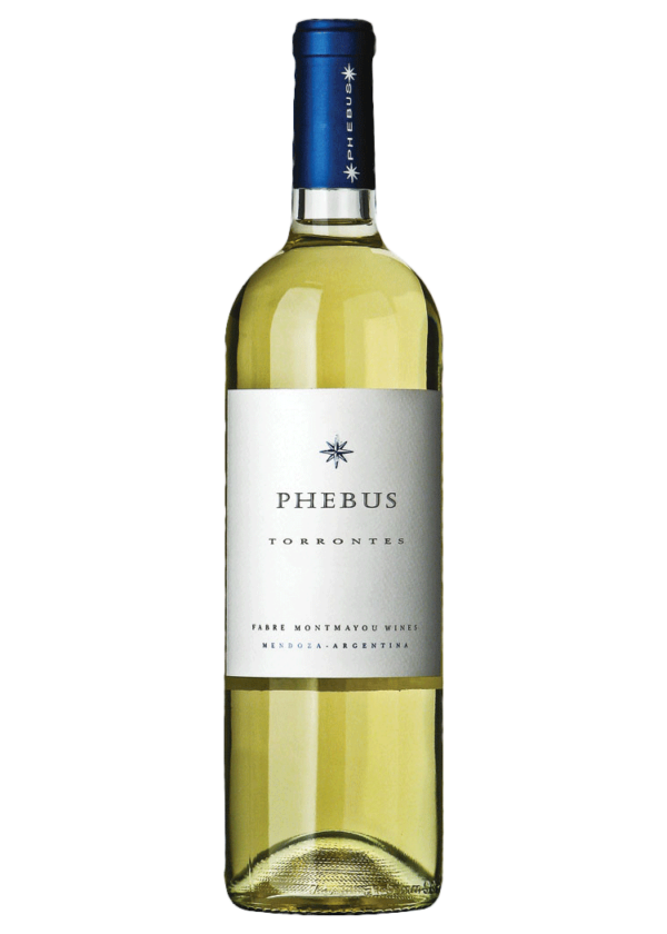 Phebus Torrontes